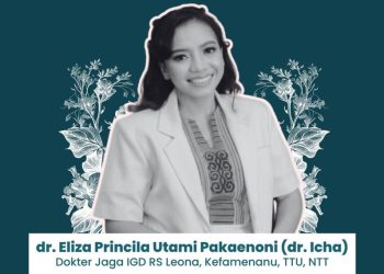 Kematian Dokter Icha, DPR Desak Kemenkes dan Polisi Lakukan Penyidikan Mendalam