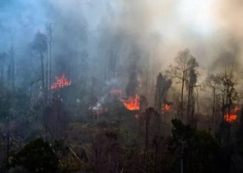 Antisipasi Kemarau Panjang, Personel Dikerahkan ke Titik Rawan Karhutla