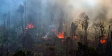Antisipasi Kemarau Panjang, Personel Dikerahkan ke Titik Rawan Karhutla