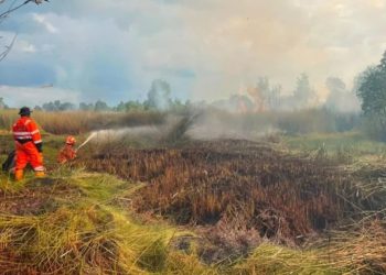 Karhutla Melanda Tiga Wilayah Terburuk di Banjarbaru Kalsel