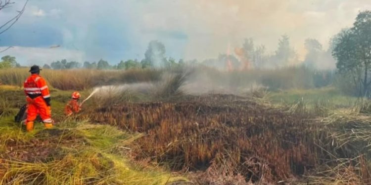 Karhutla Melanda Tiga Wilayah Terburuk di Banjarbaru Kalsel