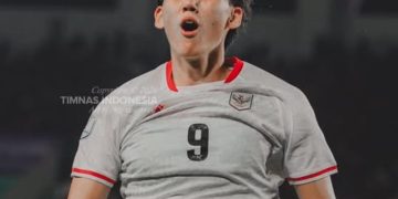 Pesaing Baru Mitchell Baker Muncul dari Malaysia dan Vietnam