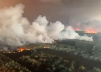 Eropa Terkena Kebakaran Hutan dan Gelombang Panas, Simak 5 Fakta Terkaitnya