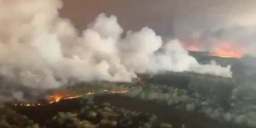 Eropa Terkena Kebakaran Hutan dan Gelombang Panas, Simak 5 Fakta Terkaitnya