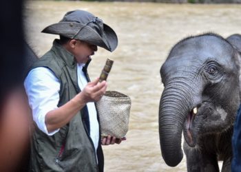 Inpres Gajah Dapat Perkuat Perlindungan Habitat dan Dapat Apresiasi Menhut