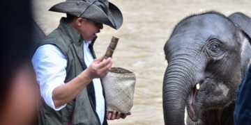 Inpres Gajah Dapat Perkuat Perlindungan Habitat dan Dapat Apresiasi Menhut