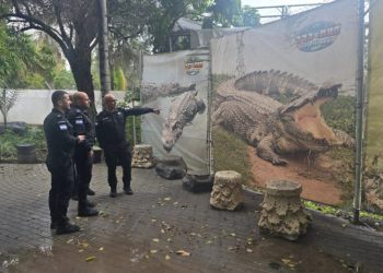 Israel Akan Memanfaatkan Buaya untuk Mengawasi Tahanan Palestina