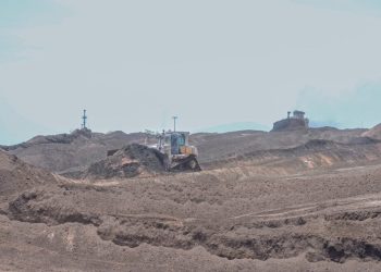 Dorong Bioenergi Sebagai Motor Diversifikasi Energi Nasional oleh PLN EPI