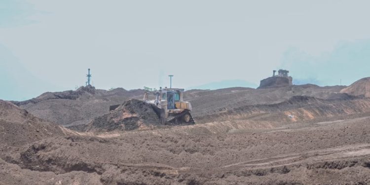 Dorong Bioenergi Sebagai Motor Diversifikasi Energi Nasional oleh PLN EPI