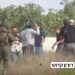 Serangan Ekstremis di Tepi Barat Meningkat, Fatah Menyalahkan Pemerintah Israel