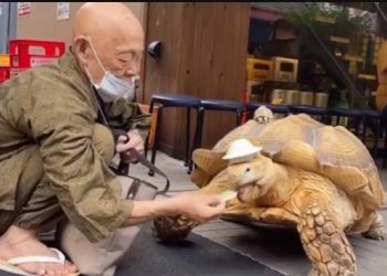 Tren Penolakan Memiliki Anak Meningkat di Jepang, Popularitas Bayi Berbulu Naik Drastis