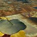 10 Negara dengan Cadangan Uranium Terbesar di Sekitar Indonesia