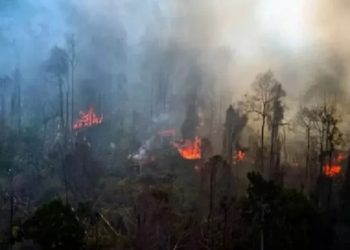 Atasi Karhutla di Riau, Kalbar, Kalteng, Kemenhut Laksanakan Operasi Modifikasi Cuaca