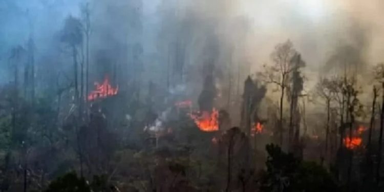 Atasi Karhutla di Riau, Kalbar, Kalteng, Kemenhut Laksanakan Operasi Modifikasi Cuaca