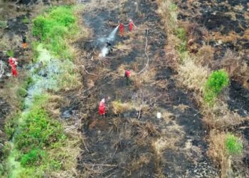 Cepat Tangani Kasus Karhutla Kalimantan, Kinerja Kapolri Dukung Pemerintah