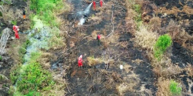 Cepat Tangani Kasus Karhutla Kalimantan, Kinerja Kapolri Dukung Pemerintah