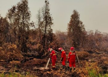 Karhutla Kalimantan Menjadi Perhatian Jarak Pandang di Beberapa Bandara