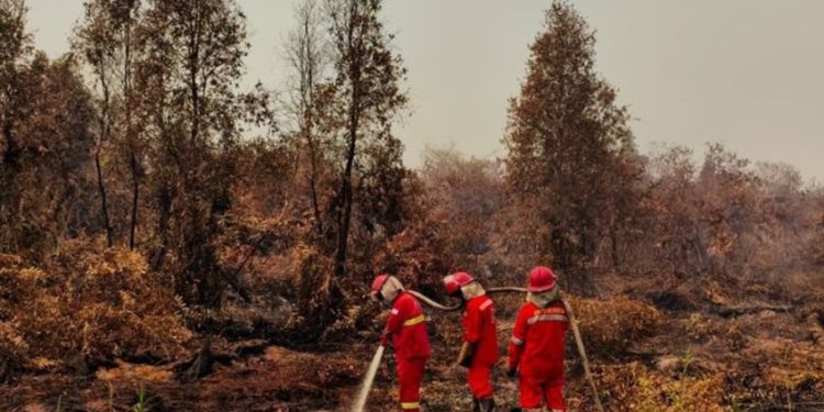 Karhutla Kalimantan Menjadi Perhatian Jarak Pandang di Beberapa Bandara