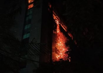 Kebakaran Gedung Bapenda DKI Jakarta, 200 Petugas Pemadam Kebakaran Berjuang Memadamkan Api