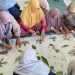 Lawan Risiko Stroke, Daun Kering Disulap Jadi Produk Bernilai Ekonomi oleh Tim Unusa