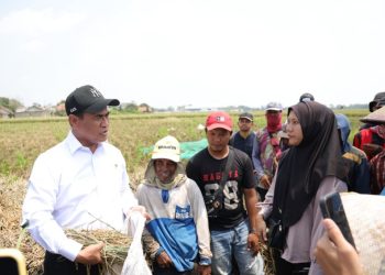 Aturan Baru Mentan, Buruh Tani Dapat Bantuan Alsintan Sekarang
