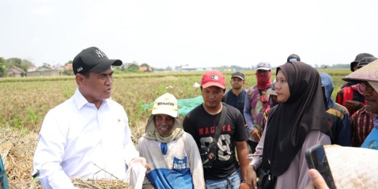 Aturan Baru Mentan, Buruh Tani Dapat Bantuan Alsintan Sekarang