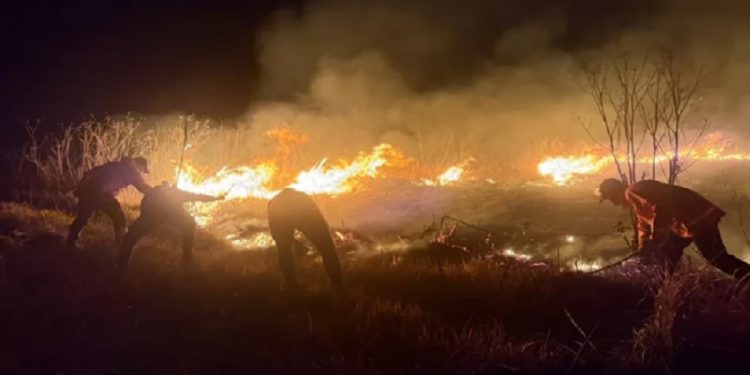 Terkendala Cuaca, Water Booming Diperkuat Atasi Kebakaran Gunung Bromo