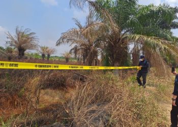 21 Perusahaan Dikenakan Sanksi Terkait Karhutla, 30% Melakukan Kesalahan Berulang