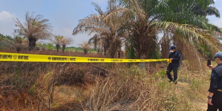 21 Perusahaan Dikenakan Sanksi Terkait Karhutla, 30% Melakukan Kesalahan Berulang