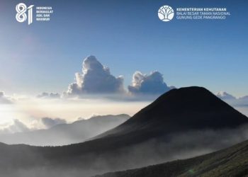 Ancaman Kebakaran Hutan Masih Tinggi, Penutupan Pendakian Gunung Diperpanjang