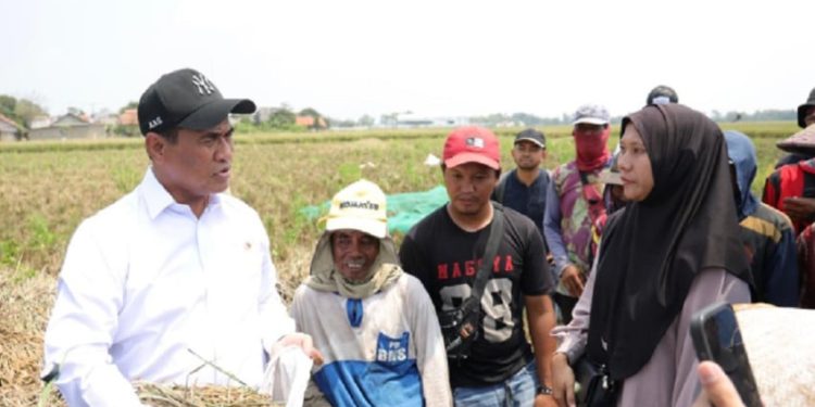 Nilai Kinerja Mentan Amran Tertinggi di Kabinet Merah Putih Raih Skor 91