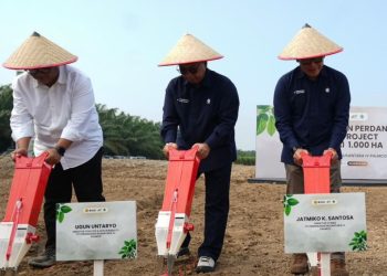Kabupaten Serdang Bedagai Jadi Proyek Percontohan Penanaman Kedelai