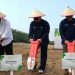 Kabupaten Serdang Bedagai Jadi Proyek Percontohan Penanaman Kedelai