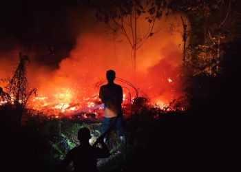 Karhutla di Kalbar Masih Berlanjut, 370 Hektare Lahan Terbakar