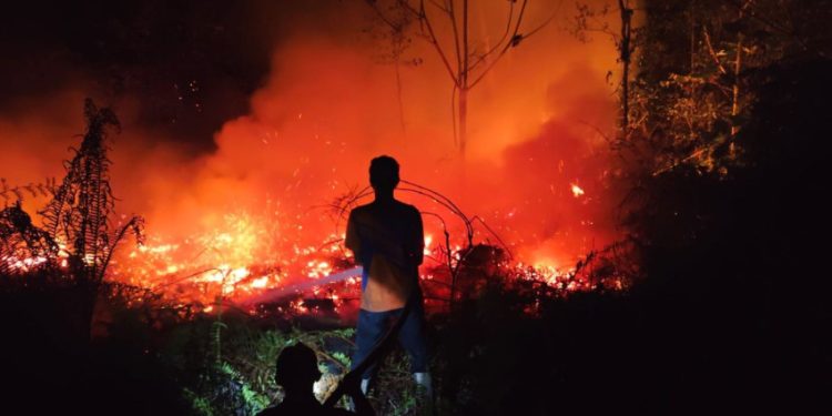 Karhutla di Kalbar Masih Berlanjut, 370 Hektare Lahan Terbakar