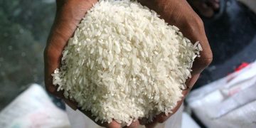 Mitigasi Dampak El Nino dan Bantuan Beras Hingga Desember 2026