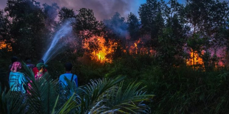 Potensi Kerugian Rp123,1 Triliun, Celios Soroti Rendahnya Anggaran Karhutla