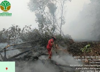 Karhutla di Kalimantan Capai 1566 Hektare, Sumatera Tinggal 23 Hektare