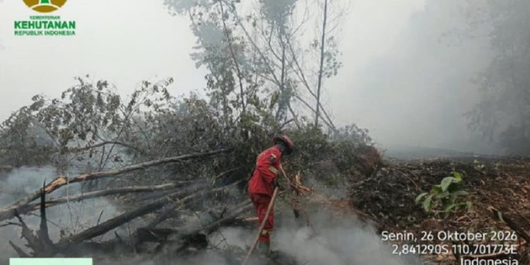 Karhutla di Kalimantan Capai 1566 Hektare, Sumatera Tinggal 23 Hektare