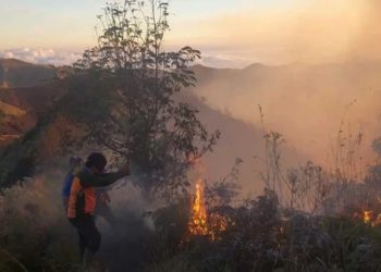 Perkuat OMC dan Water Bombing untuk Atasi Karhutla di Gunung Bromo, Arjuno, Semeru