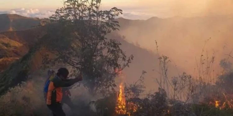 Perkuat OMC dan Water Bombing untuk Atasi Karhutla di Gunung Bromo, Arjuno, Semeru