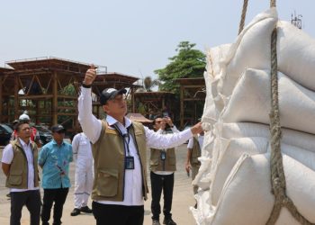 Percepat Kirim 10 Ribu Ton Jagung ke Jawa, Dirut Tinjau Pemuatan Kapal di Makassar