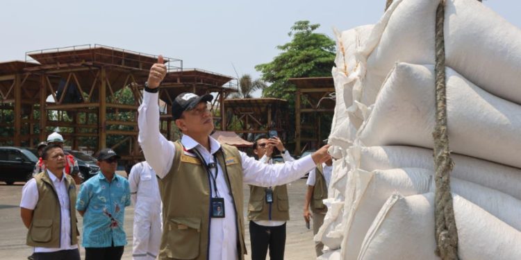 Percepat Kirim 10 Ribu Ton Jagung ke Jawa, Dirut Tinjau Pemuatan Kapal di Makassar
