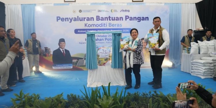 Dua Tahun Pemerintahan Prabowo-Gibran BULOG Luncurkan Kemasan Baru Beras SPHP