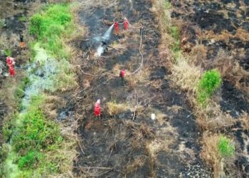 DPR Sarankan Korporasi Penyebab Karhutla Dapatkan Keuntungan Ekonomis yang Dirampas