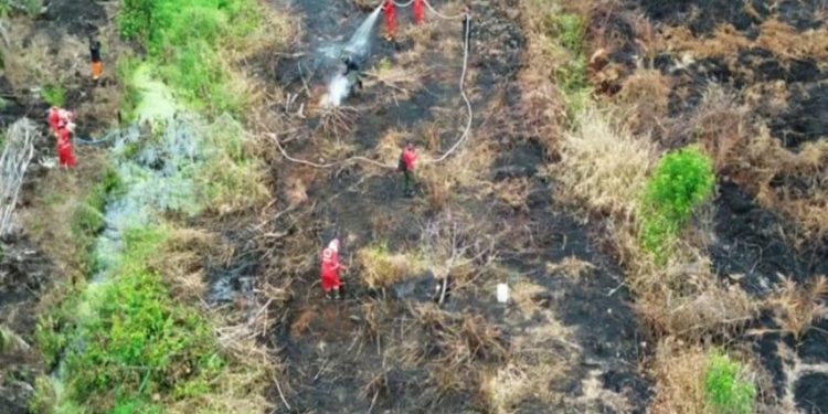 DPR Sarankan Korporasi Penyebab Karhutla Dapatkan Keuntungan Ekonomis yang Dirampas