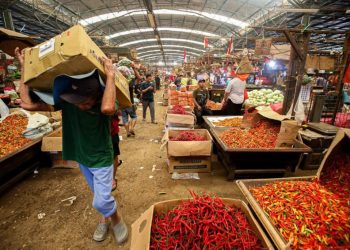 Harga Cabai Beragam Naik, Rawit Merah Capai Rp102.250 per Kg