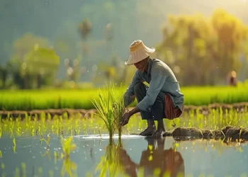 Makna Berkah dalam Islam serta 4 Ciri Orang yang Menerimanya