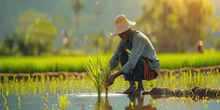 Makna Berkah dalam Islam serta 4 Ciri Orang yang Menerimanya