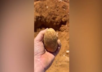 Pria Temukan Bongkahan Emas 1,2 Kg dengan Nilai Tembus Rp2,5 Miliar